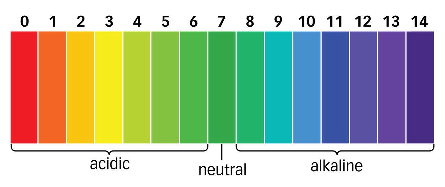 Ph Scale Chart